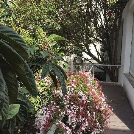 Appartement Amazing Mezzanine House With Garden - Centre
