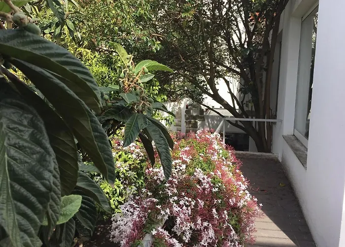 Appartement Amazing Mezzanine House With Garden - Centre
